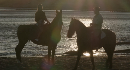 Romantic Ride with Horses